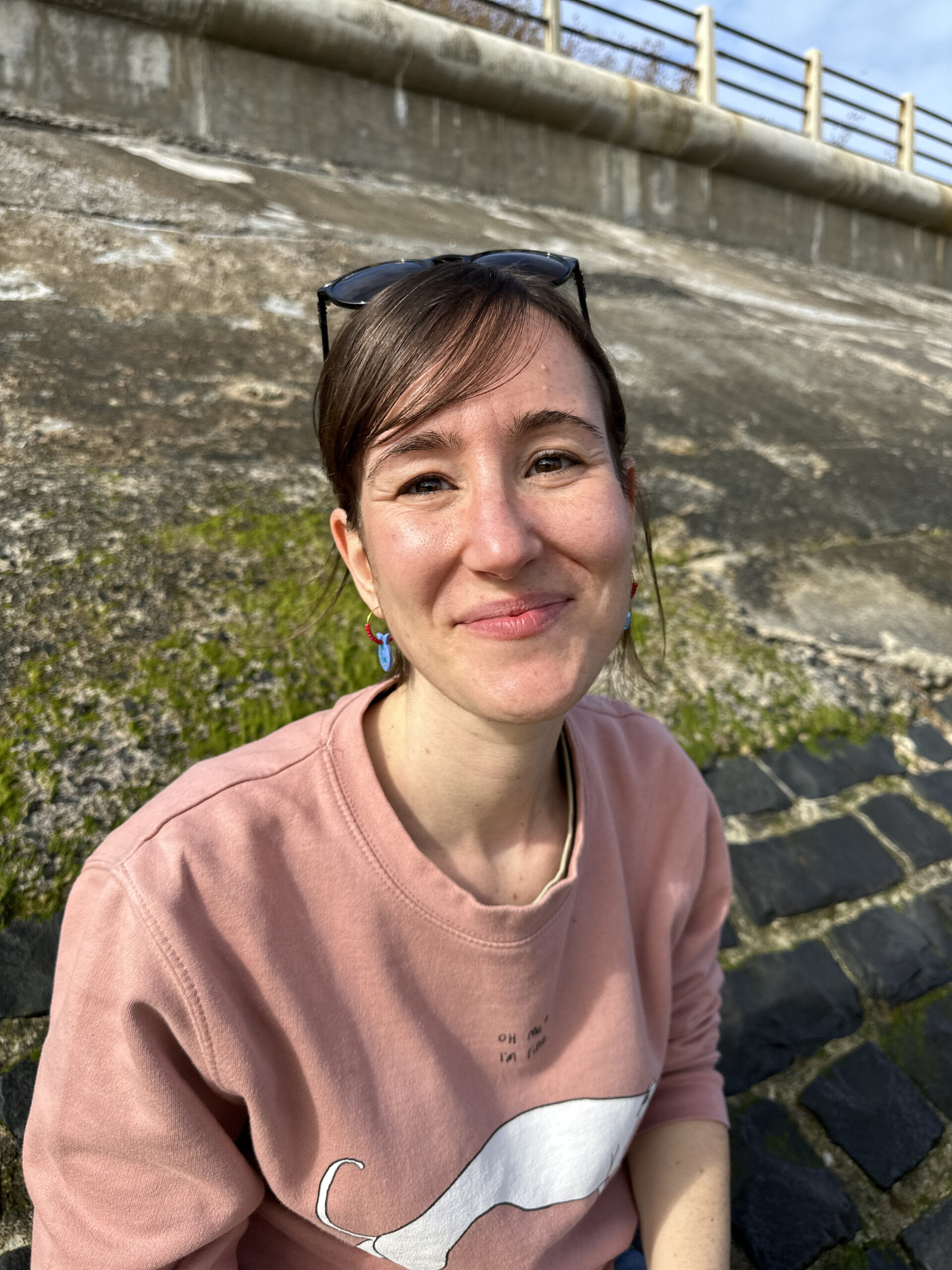Mercè Solé